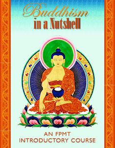 Buddhism in a Nutshell